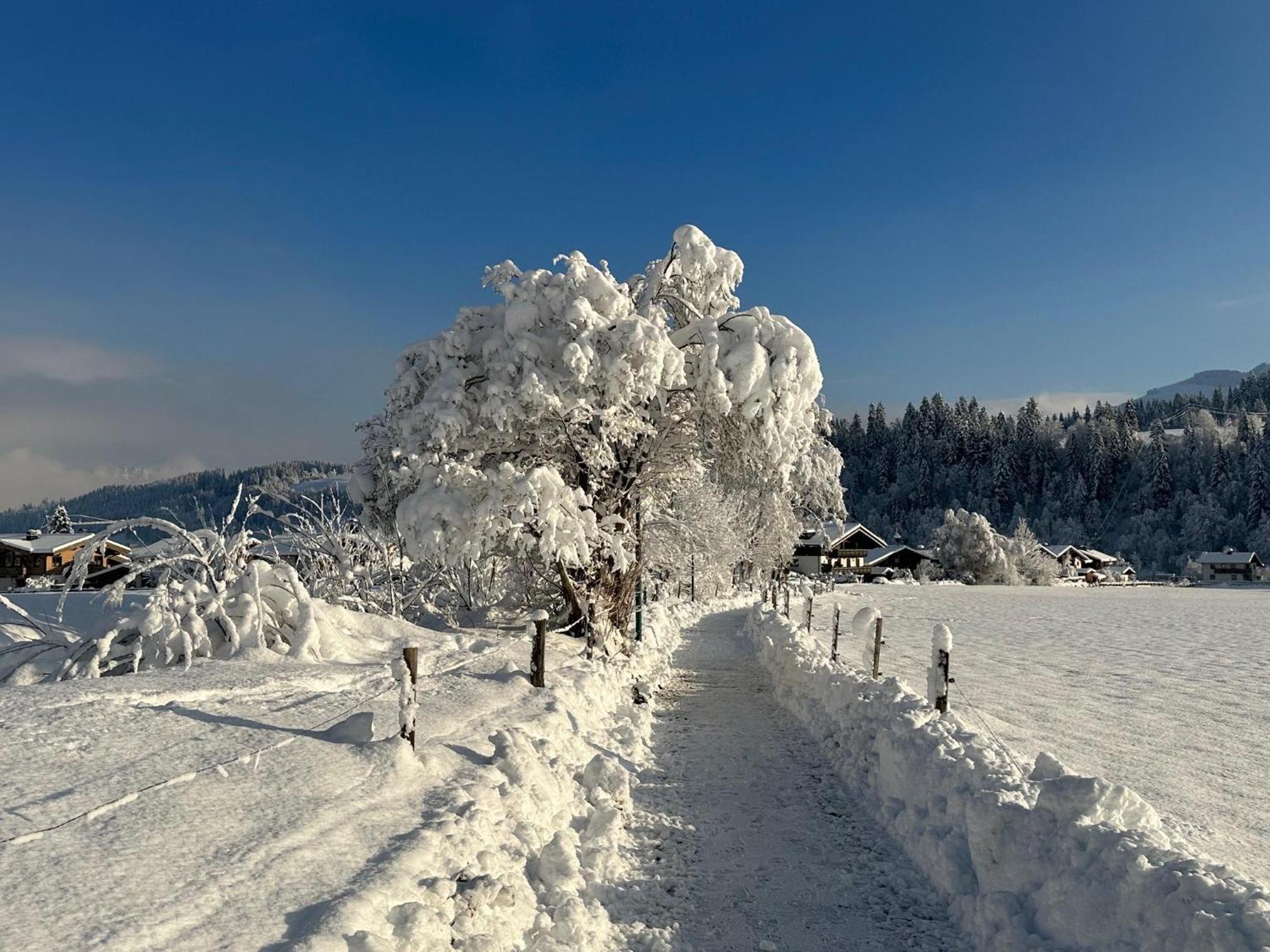 Pon-Apart Reith bei Kitzbühel Zewnętrze zdjęcie